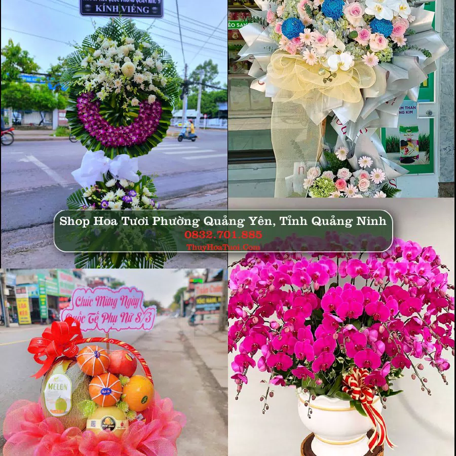 Shop hoa tươi Phường Quảng Yên, Tỉnh Quảng Ninh - ThuyHoaTuoi.Com giao hoa tận nơi