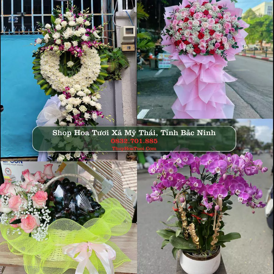 Shop hoa tươi Xã Mỹ Thái, Tỉnh Bắc Ninh - ThuyHoaTuoi.Com giao hoa tận nơi