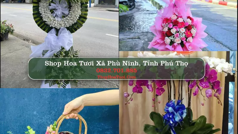 Shop Hoa Tươi Xã Phù Ninh - Tỉnh Phú Thọ