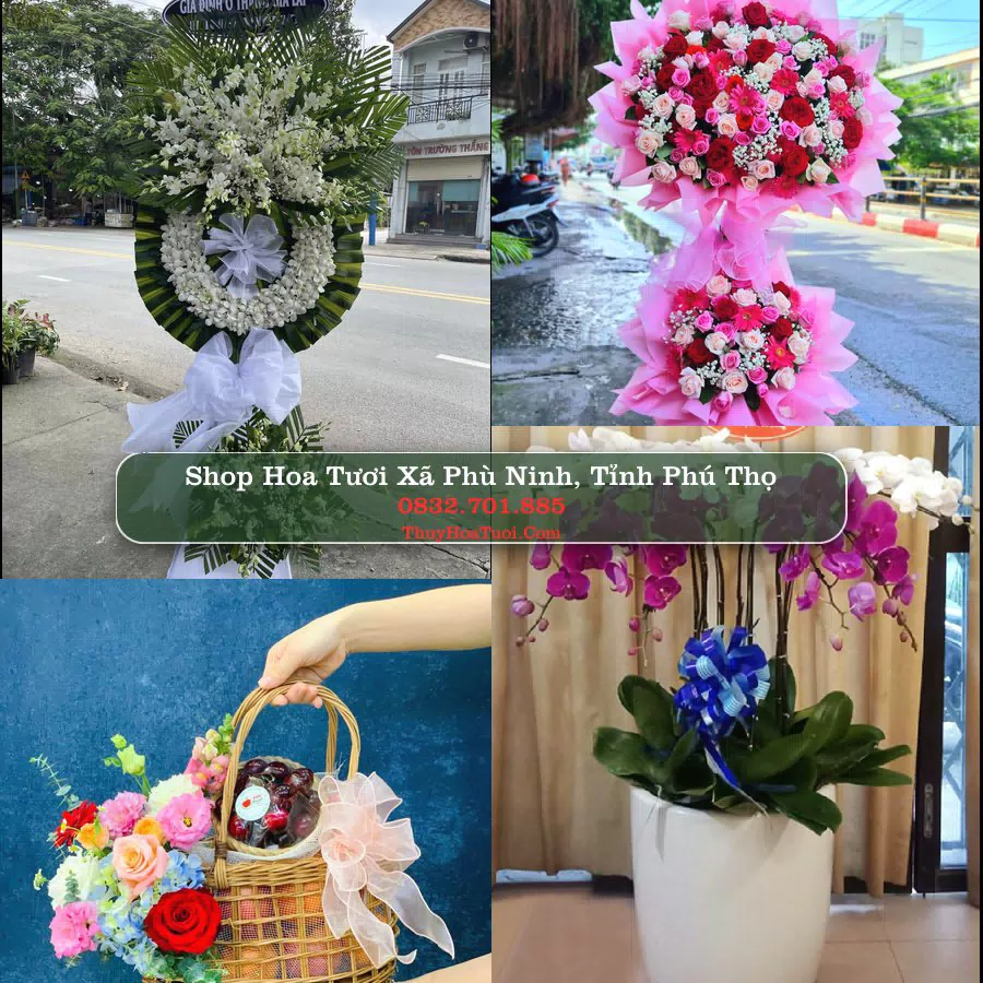 Shop Hoa Tươi Xã Phù Ninh - Tỉnh Phú Thọ