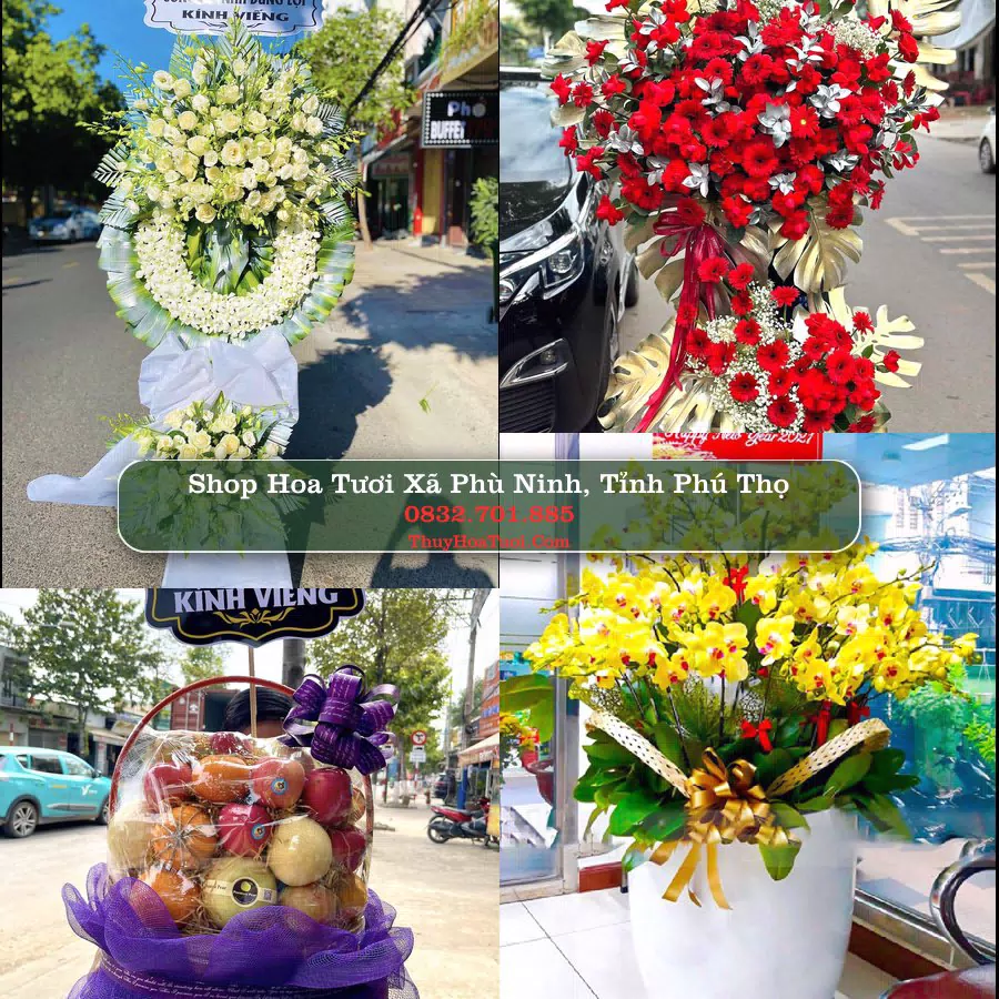 Shop hoa tươi Xã Phù Ninh, Tỉnh Phú Thọ - ThuyHoaTuoi.Com giao hoa tận nơi