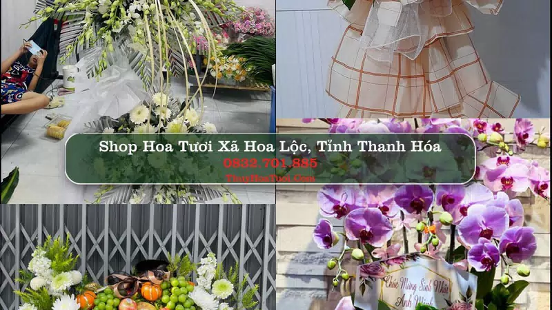 Shop Hoa Tươi Xã Hoa Lộc - Tỉnh Thanh Hóa