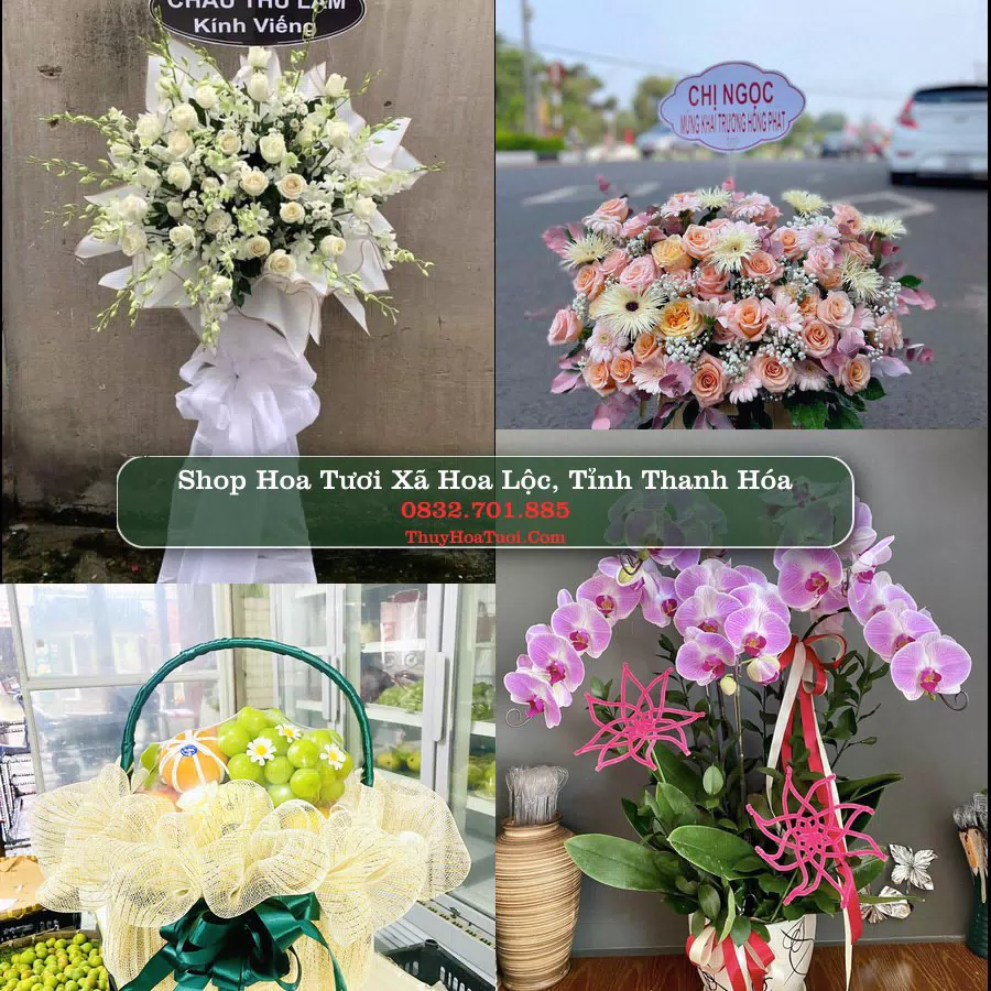 Shop hoa tươi Xã Hoa Lộc, Tỉnh Thanh Hóa - ThuyHoaTuoi.Com giao hoa tận nơi