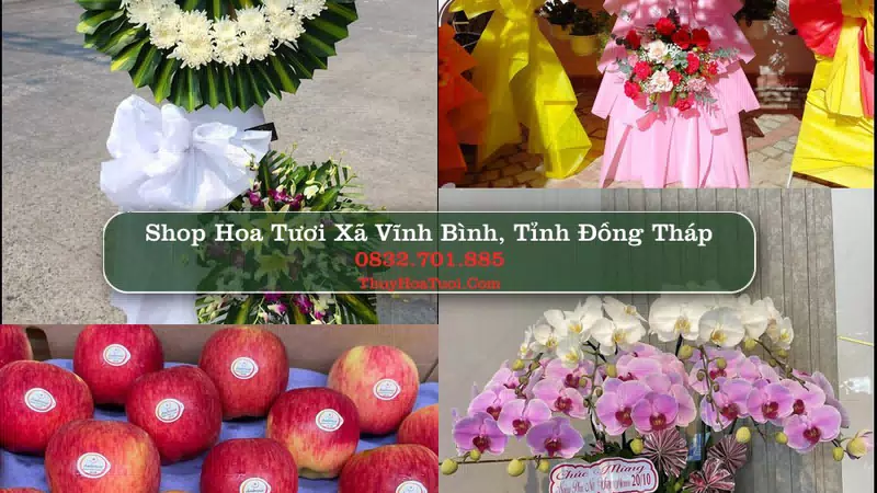 Shop Hoa Tươi Xã Vĩnh Bình - Tỉnh Đồng Tháp