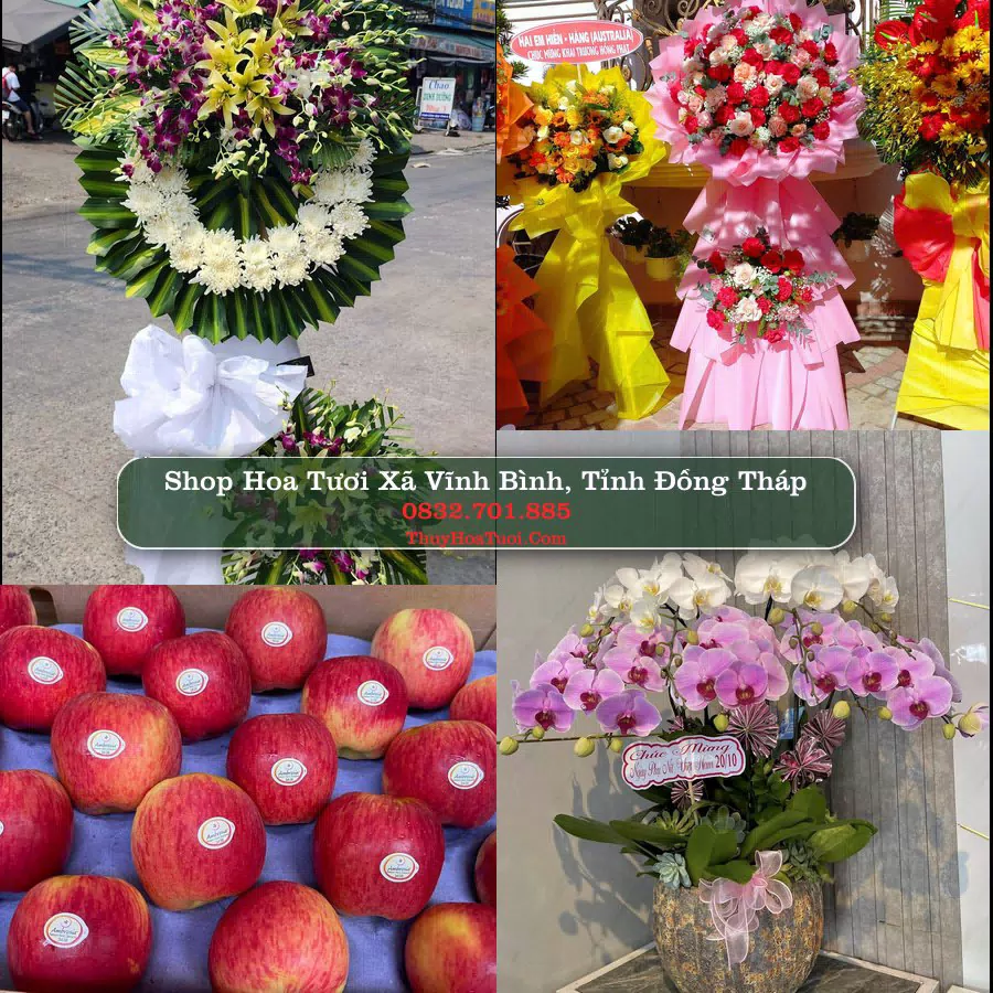 Shop Hoa Tươi Xã Vĩnh Bình - Tỉnh Đồng Tháp