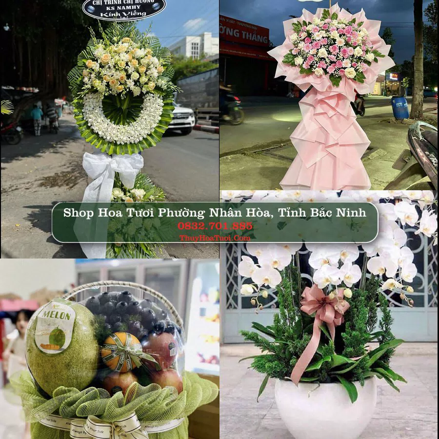Shop hoa tươi Phường Nhân Hòa, Tỉnh Bắc Ninh - ThuyHoaTuoi.Com giao hoa tận nơi