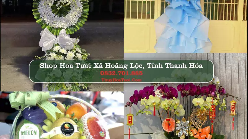 Shop Hoa Tươi Xã Hoằng Lộc - Tỉnh Thanh Hóa