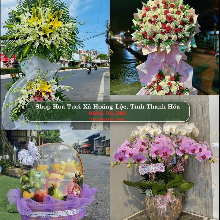 Shop hoa tươi Xã Hoằng Lộc, Tỉnh Thanh Hóa - ThuyHoaTuoi.Com giao hoa tận nơi