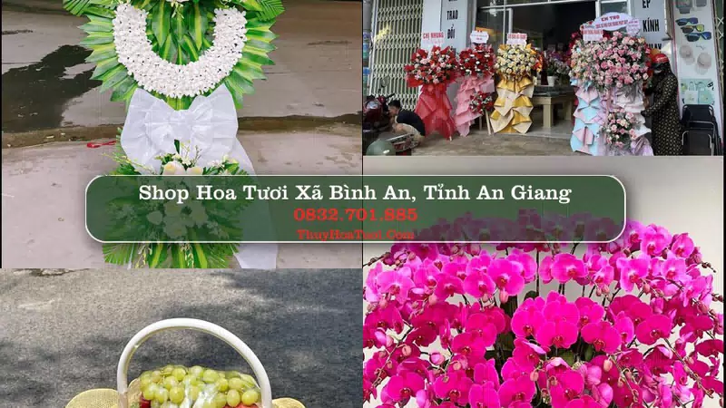 Shop Hoa Tươi Xã Bình An - Tỉnh An Giang