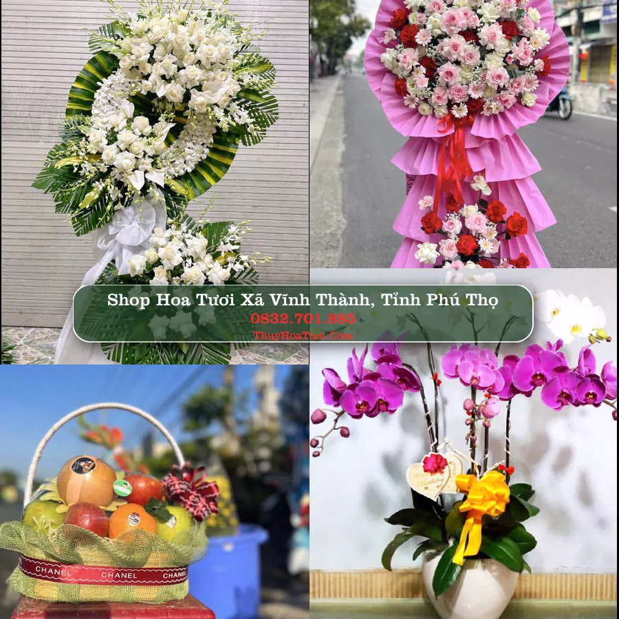 Shop hoa tươi Xã Vĩnh Thành, Tỉnh Phú Thọ - ThuyHoaTuoi.Com giao hoa tận nơi