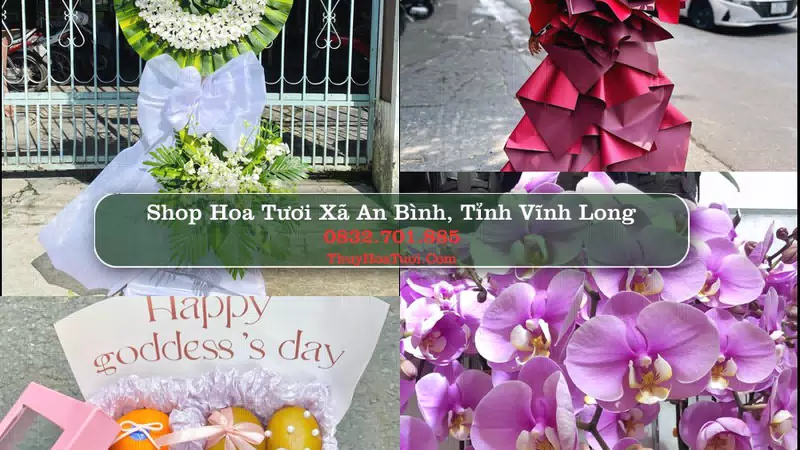 Shop Hoa Tươi Xã An Bình - Tỉnh Vĩnh Long
