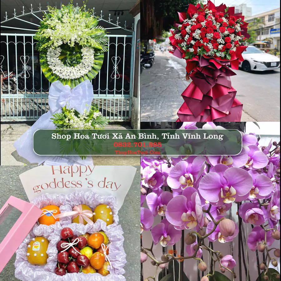 Shop Hoa Tươi Xã An Bình - Tỉnh Vĩnh Long
