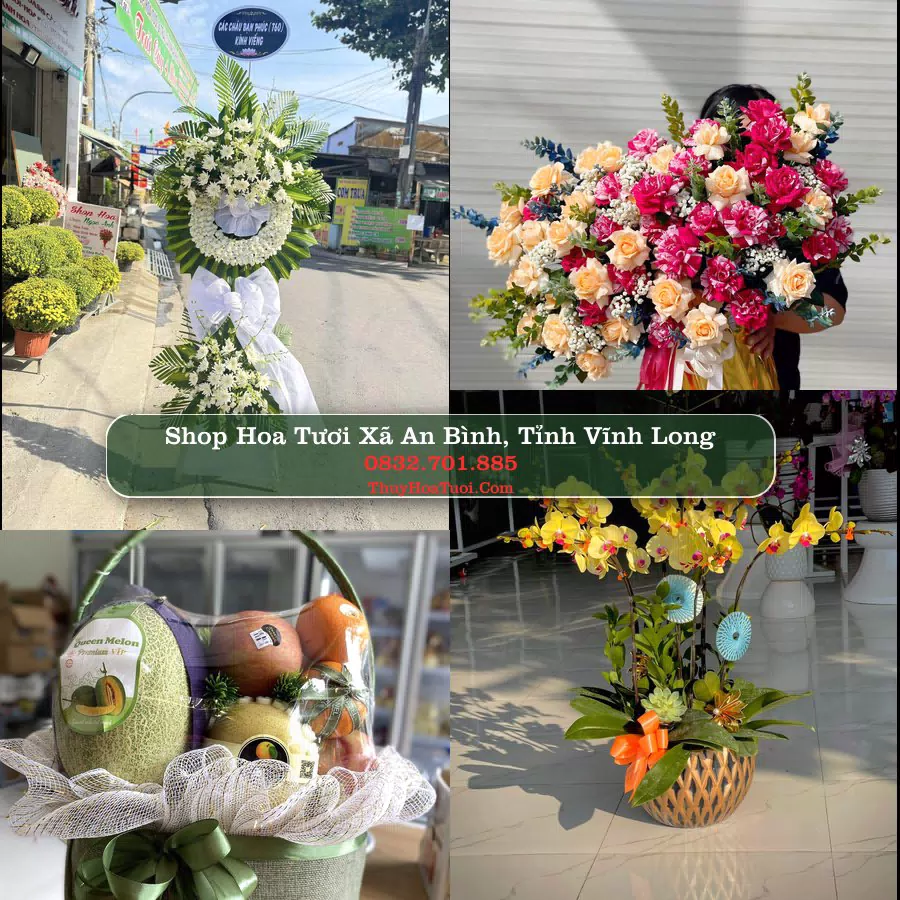 Shop hoa tươi Xã An Bình, Tỉnh Vĩnh Long - ThuyHoaTuoi.Com giao hoa tận nơi