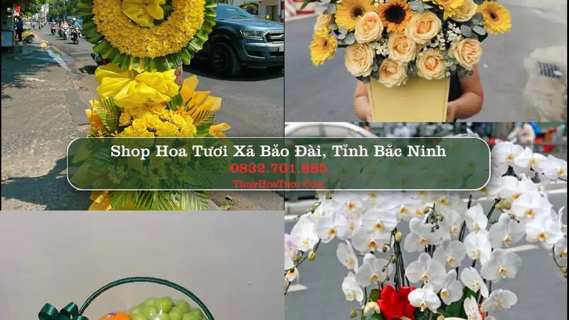 Shop Hoa Tươi Xã Bảo Đài - Tỉnh Bắc Ninh