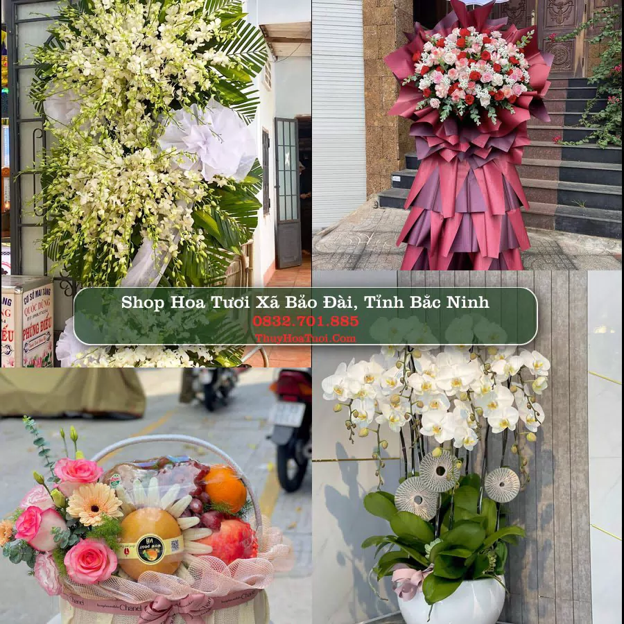 Shop hoa tươi Xã Bảo Đài, Tỉnh Bắc Ninh - ThuyHoaTuoi.Com giao hoa tận nơi
