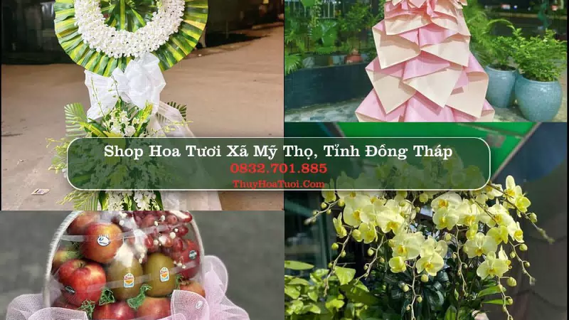 Shop Hoa Tươi Xã Mỹ Thọ - Tỉnh Đồng Tháp