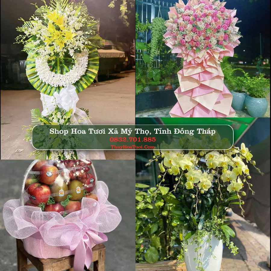 Shop Hoa Tươi Xã Mỹ Thọ - Tỉnh Đồng Tháp