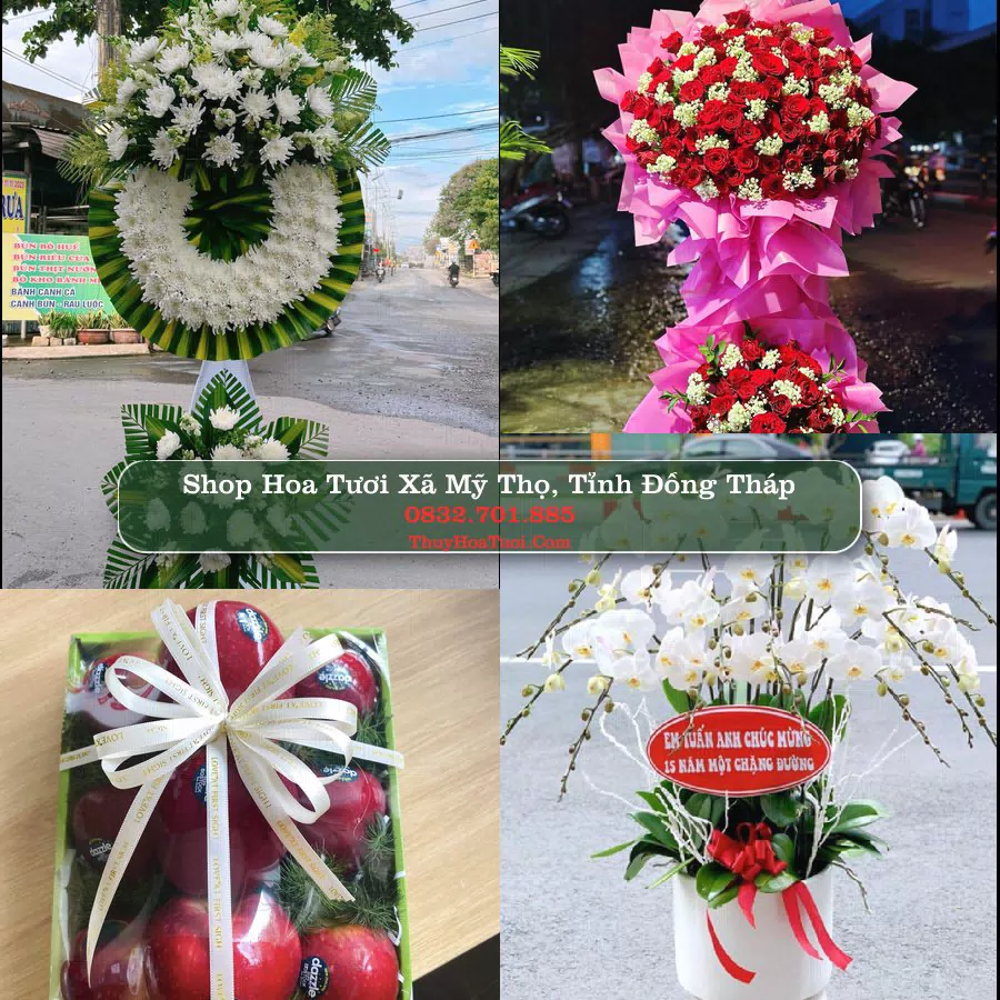 Shop hoa tươi Xã Mỹ Thọ, Tỉnh Đồng Tháp - ThuyHoaTuoi.Com giao hoa tận nơi