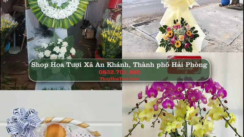 Shop Hoa Tươi Xã An Khánh - Thành phố Hải Phòng
