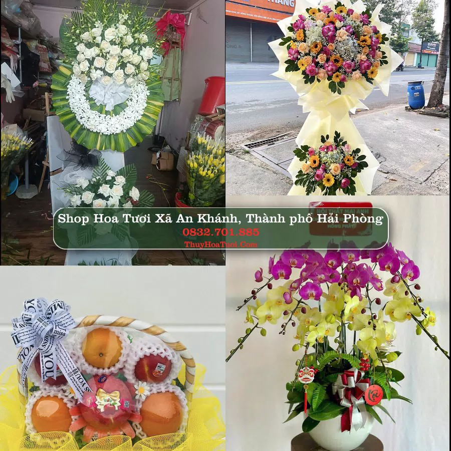 Shop Hoa Tươi Xã An Khánh - Thành phố Hải Phòng