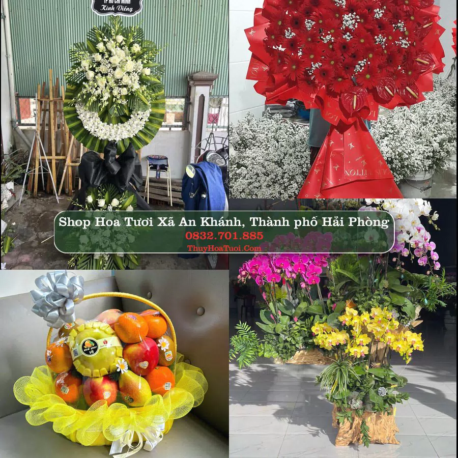 Shop hoa tươi Xã An Khánh, Thành phố Hải Phòng - ThuyHoaTuoi.Com giao hoa tận nơi