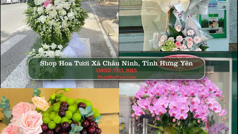 Shop Hoa Tươi Xã Châu Ninh - Tỉnh Hưng Yên