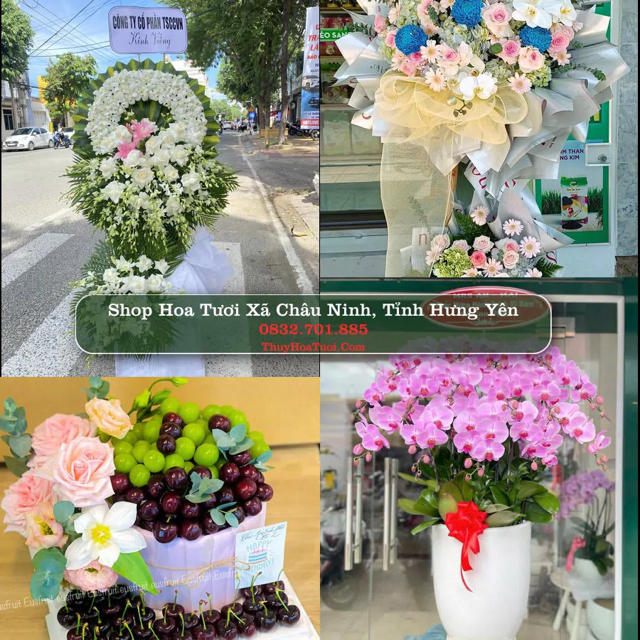 Shop Hoa Tươi Xã Châu Ninh - Tỉnh Hưng Yên
