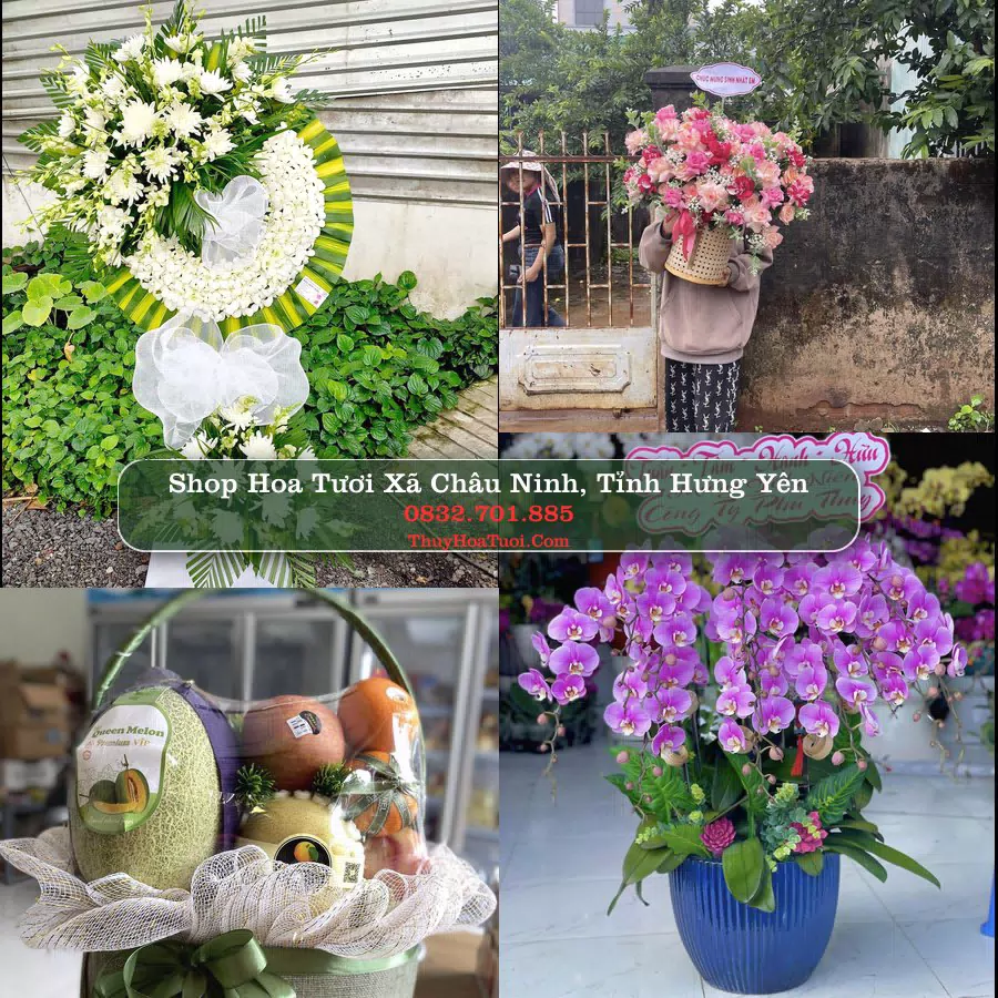 Shop hoa tươi Xã Châu Ninh, Tỉnh Hưng Yên - ThuyHoaTuoi.Com giao hoa tận nơi