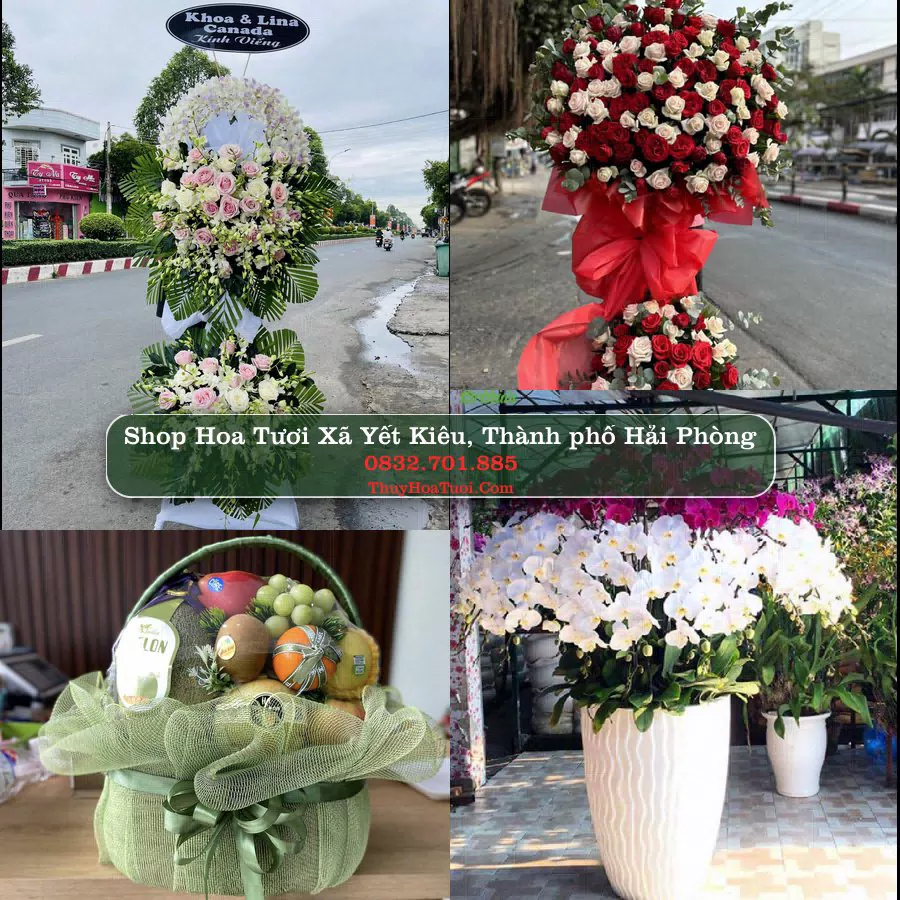 Shop hoa tươi Xã Yết Kiêu, Thành phố Hải Phòng - ThuyHoaTuoi.Com giao hoa tận nơi
