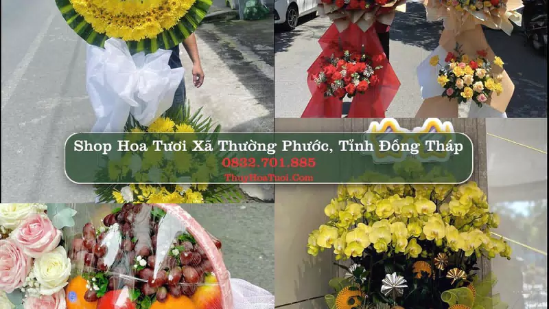 Shop Hoa Tươi Xã Thường Phước - Tỉnh Đồng Tháp