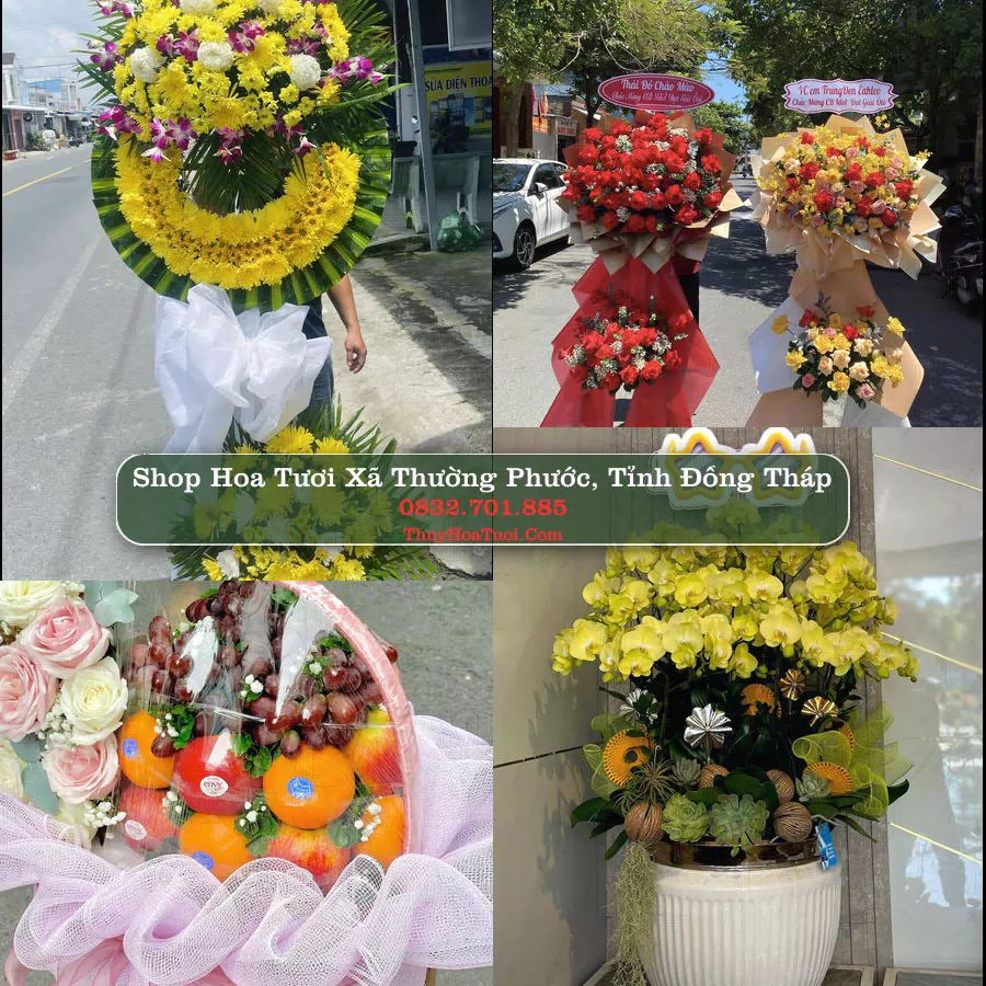 Shop Hoa Tươi Xã Thường Phước - Tỉnh Đồng Tháp