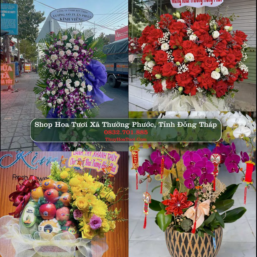 Shop hoa tươi Xã Thường Phước, Tỉnh Đồng Tháp - ThuyHoaTuoi.Com giao hoa tận nơi