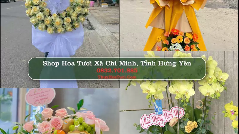 Shop Hoa Tươi Xã Chí Minh - Tỉnh Hưng Yên