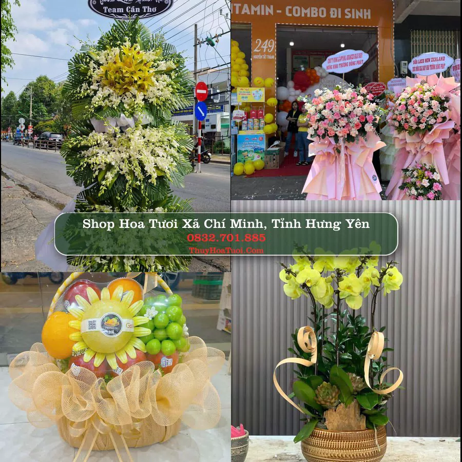Shop hoa tươi Xã Chí Minh, Tỉnh Hưng Yên - ThuyHoaTuoi.Com giao hoa tận nơi