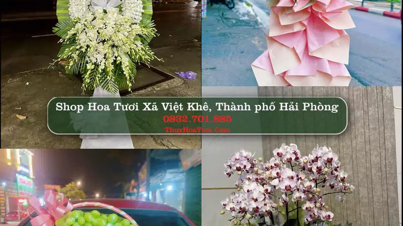 Shop Hoa Tươi Xã Việt Khê - Thành phố Hải Phòng