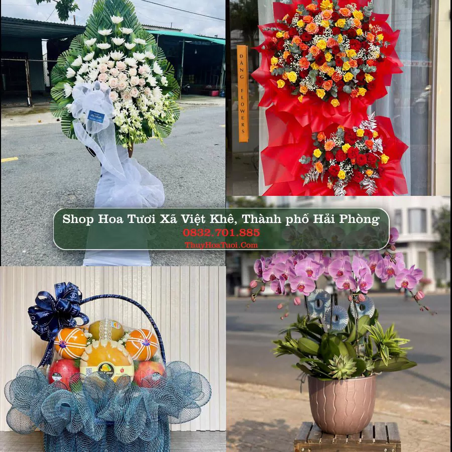 Shop hoa tươi Xã Việt Khê, Thành phố Hải Phòng - ThuyHoaTuoi.Com giao hoa tận nơi