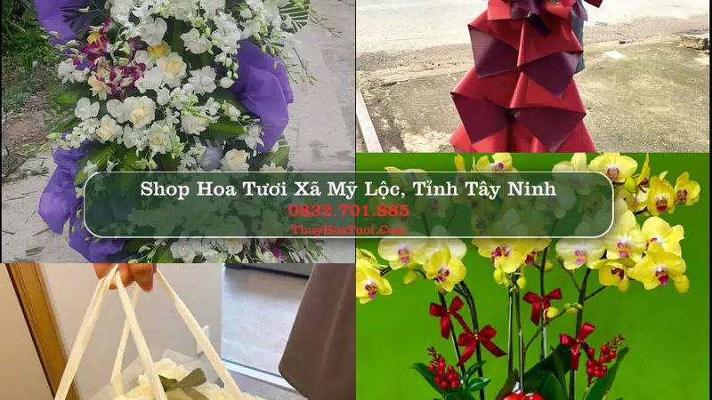 Shop Hoa Tươi Xã Mỹ Lộc - Tỉnh Tây Ninh