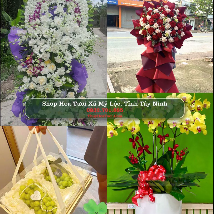 Shop Hoa Tươi Xã Mỹ Lộc - Tỉnh Tây Ninh