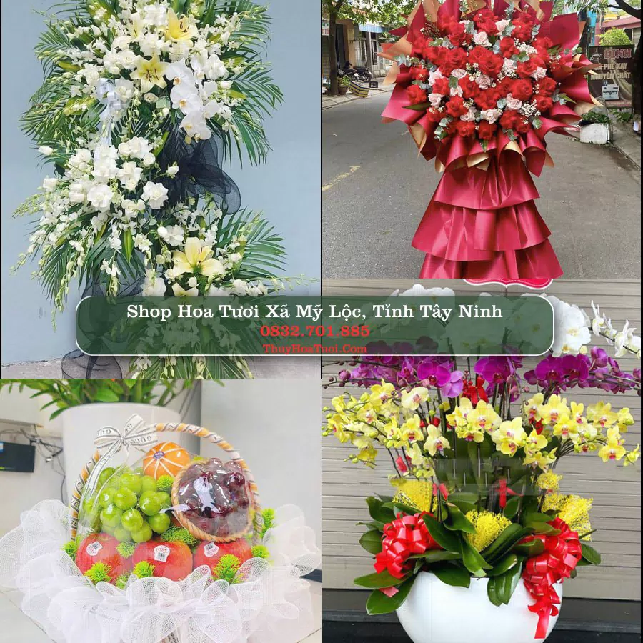 Shop hoa tươi Xã Mỹ Lộc, Tỉnh Tây Ninh - ThuyHoaTuoi.Com giao hoa tận nơi