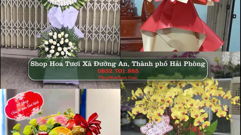 Shop Hoa Tươi Xã Đường An - Thành phố Hải Phòng