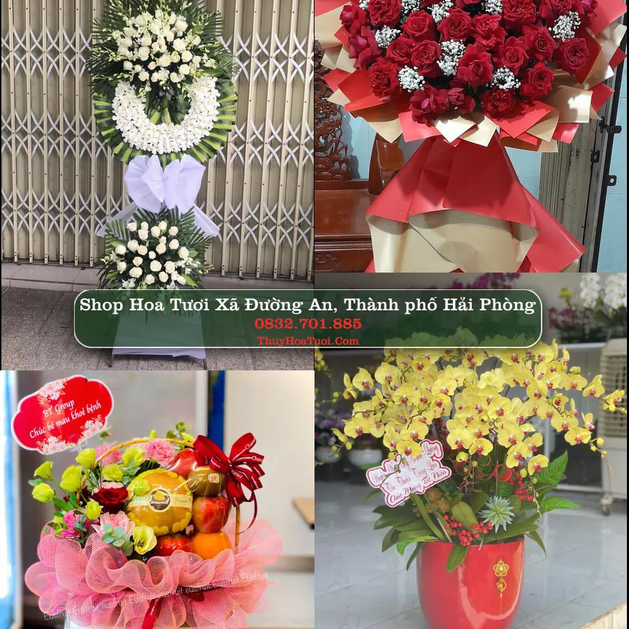 Shop Hoa Tươi Xã Đường An - Thành phố Hải Phòng