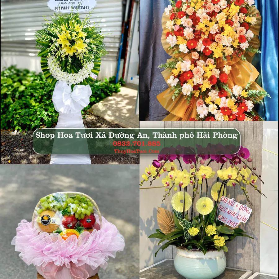 Shop hoa tươi Xã Đường An, Thành phố Hải Phòng - ThuyHoaTuoi.Com giao hoa tận nơi