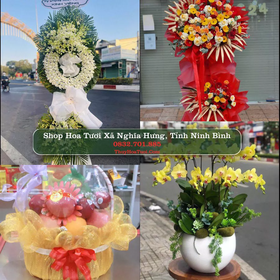 Shop Hoa Tươi Xã Nghĩa Hưng - Tỉnh Ninh Bình