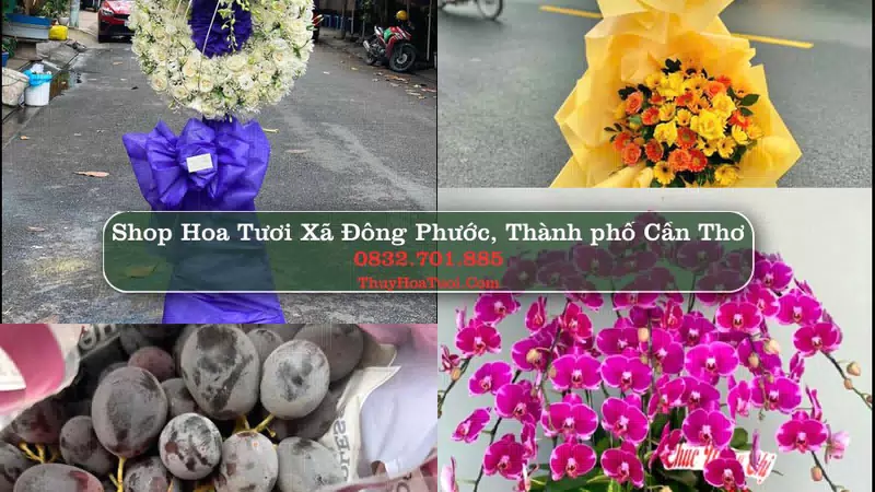 Shop Hoa Tươi Xã Đông Phước - Thành phố Cần Thơ