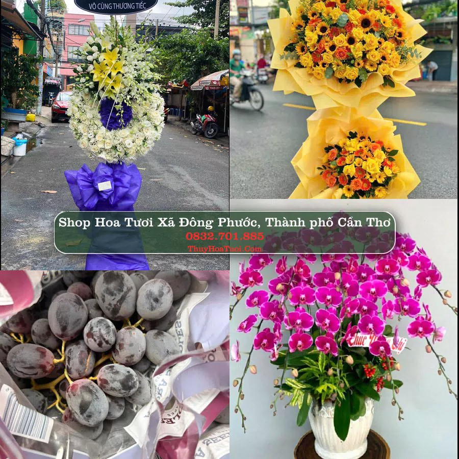 Shop Hoa Tươi Xã Đông Phước - Thành phố Cần Thơ