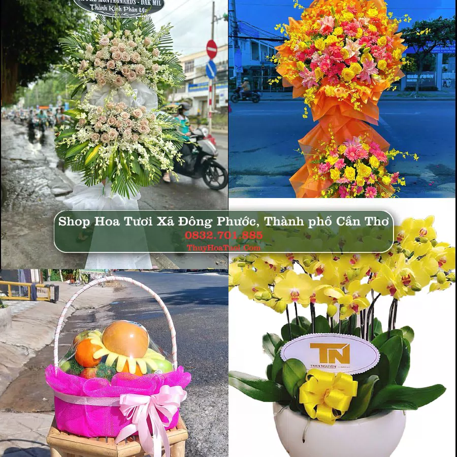 Shop hoa tươi Xã Đông Phước, Thành phố Cần Thơ - ThuyHoaTuoi.Com giao hoa tận nơi