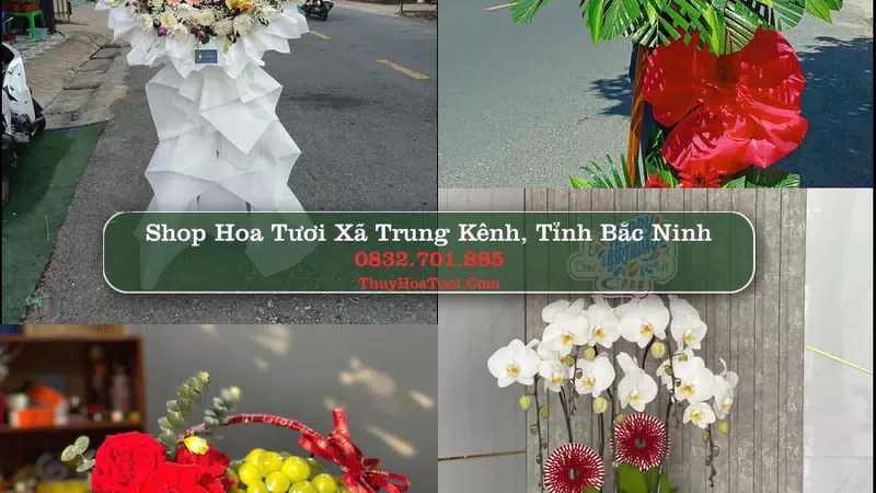 Shop Hoa Tươi Xã Trung Kênh - Tỉnh Bắc Ninh