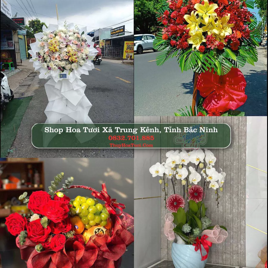 Shop Hoa Tươi Xã Trung Kênh - Tỉnh Bắc Ninh