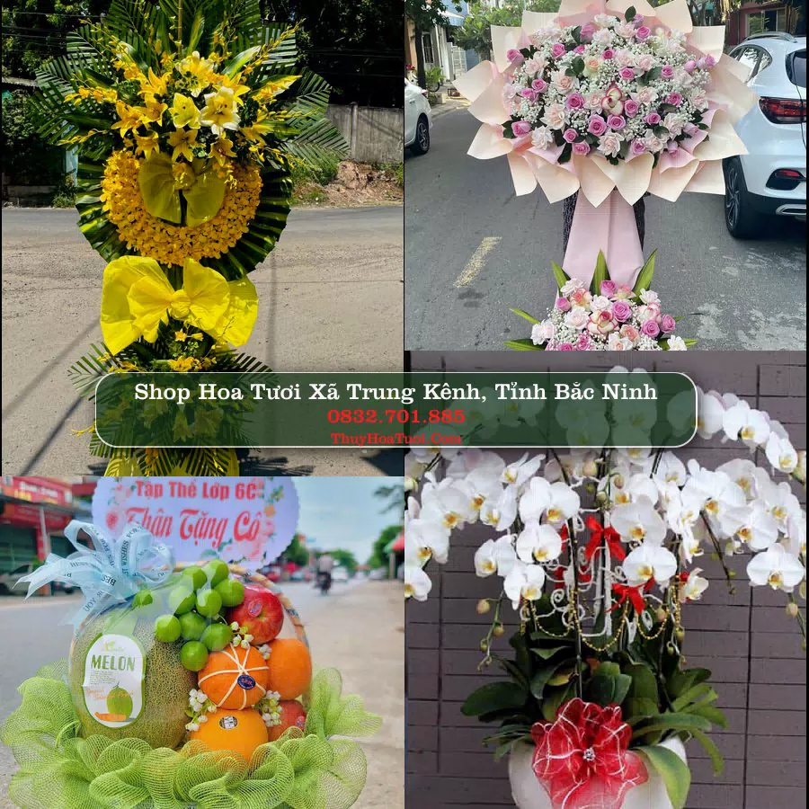 Shop hoa tươi Xã Trung Kênh, Tỉnh Bắc Ninh - ThuyHoaTuoi.Com giao hoa tận nơi