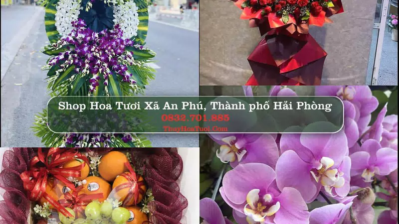Shop Hoa Tươi Xã An Phú - Thành phố Hải Phòng
